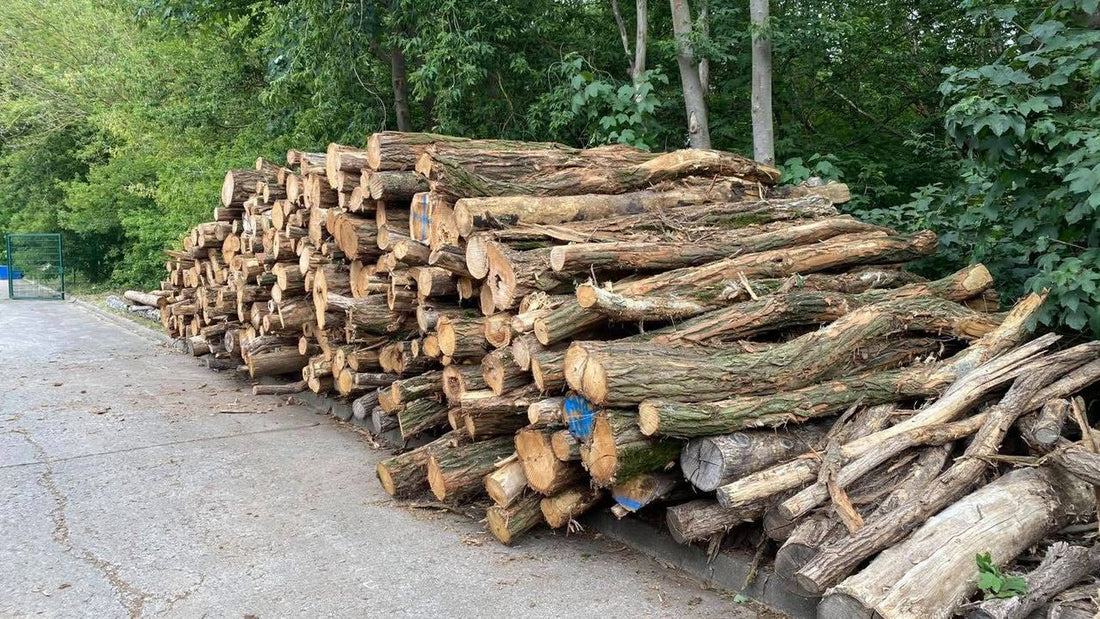 Waldkiefer Stammholz PEFC per LKW (3m-10m) – Sägequalität