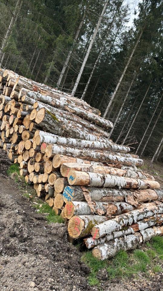 Birkenstammholz PEFC per LKW (3m-10m) – Rohholzqualität